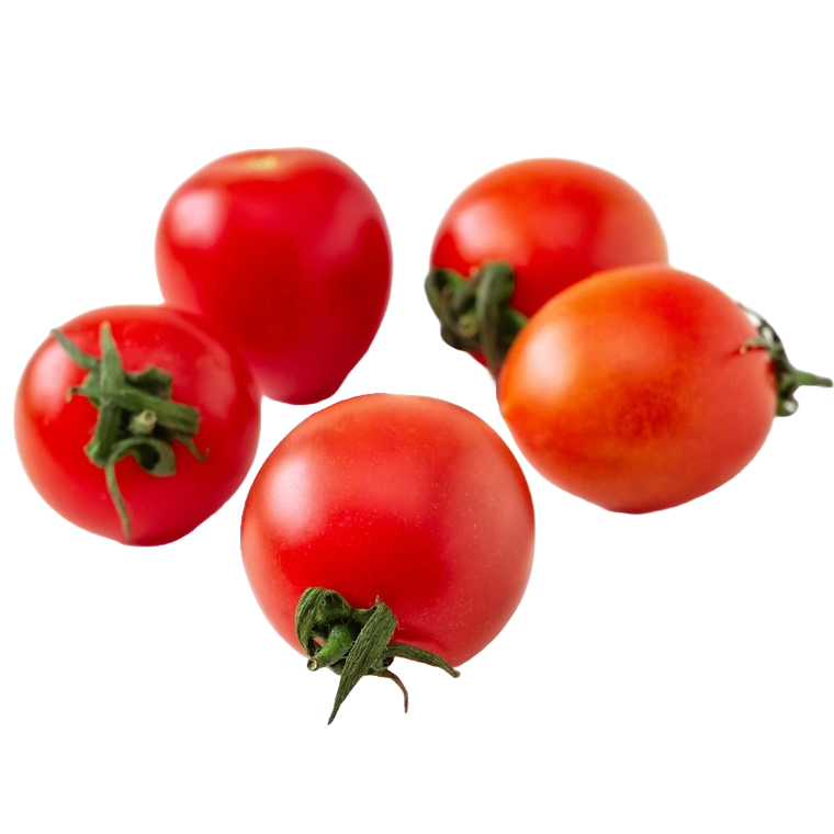 Tomatenplantje